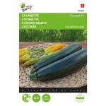 Zucchini - Diamant F1, original Peto-US - Cucurbita pepo