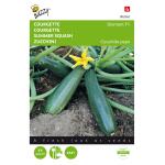 Zucchini - Diamant F1, original Peto-US - Cucurbita pepo