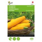 Zucchini Gold Rush F1 - Cucurbita pepo