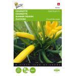 Zucchini Gold Rush F1 - Cucurbita pepo