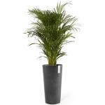 ECOPOTS Amsterdam High XL - anthracite 76 cm