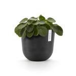 ECOPOTS Oslo avec réservoir d'eau - anthracite Ø 25 cm