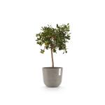 Pot ECOPOTS Oslo avec réservoir d'eau - taupe Ø 25 cm