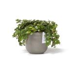 ECOPOTS Oslo Mini - taupe Ø 11,5 cm