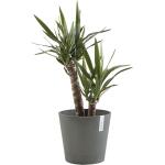 ECOPOTS Venice mit Unterschale - Grau Ø 40 cm