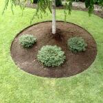 ECO 5 m x 25 cm Gartenabgrenzung