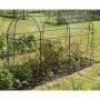 Longue cage de protection pour les fruits - 3 x 1 x 1,5 m