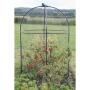 Cage de protection pour petits fruits - hauteur 1,5 m