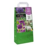 Mélange de bulbes d'Allium - Sachet cadeau (80 pièces)