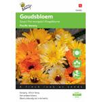 Ringelblume Beauty gef. Mischung - Calendula officinalis