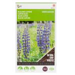 Engrais vert lupin bleu 100 g - 10 m²