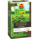 Gazon de regarnissage 1 kg - 50m² avec germination rapide