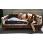 Coussin pour chiens Dream Away - Beige