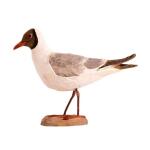 Mouette rieuse en bois