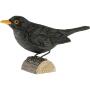 Holzvogel - Amsel