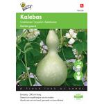 Calebasse Bottle gourd