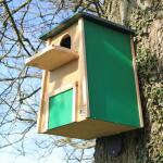 Wildlife World nichoir effraie des clochers en bois de cèdre - kit d'assemblage