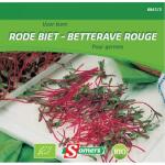 Germes betterave rouge - Bio