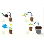 Petits pots ronds de 8 cm - biodégradables et sans tourbe