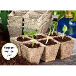 Petits pots carrés de 5 cm - biodégradables (36 pièces)