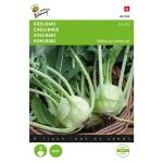 Kohlrabi Lanro - Brassica oleracea