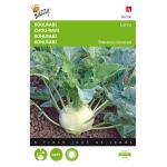 Kohlrabi Lanro - Brassica oleracea