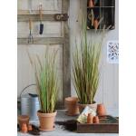 Pennisetum 'Dogtail' artificiel en pot - 45x120 cm