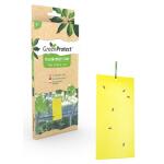 Pièges adhésifs pour insectes (5 pièces)