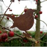 Amsel auf Ast sitzend Dekorost