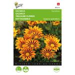 Mittagsgold Sunshine Mischung - Gazania splendens