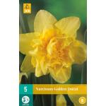 Narcissus Golden Ducat - doppelblütige Narzisse (5 stück)