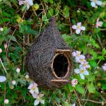 Nichoir bourse pour rouge-gorge - Wicker