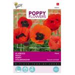 Pavot oriental (Poppies)