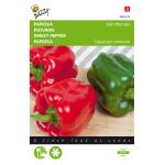 Poivron Yolo Wonder - Capsicum annuum