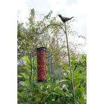 Silo à cacahuètes pour petits oiseaux - noir