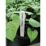 Etiquettes blanches en plastique pour plantes - 20 cm (20 pièces)