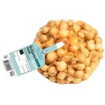 Oignons de semis Stuttgarter Riesen - 250 g