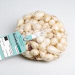 Plants d'oignons Swowball - 500 g