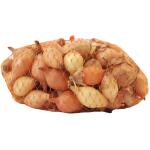 Plants d'oignons Sturon - 500 g