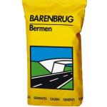 Barenbrug Roadside bermes et talus - 15 kg