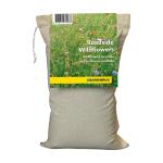 Mélange de fleurs Barenbrug Roadside Wildflowers - 1 kg