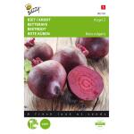 Betterave Globe 2 - Beta vulgaris