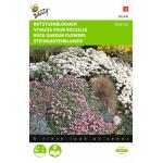 Vivaces pour Rocaille Mélange - Rockgarden perennial mixture