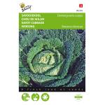 Chou de Milan Vert F. de Bruxelles - Brassica oleracea