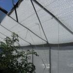 Filet d'ombrage blanche 5 x 1,8 m