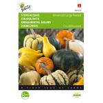 Cucurbita, Coloquinte Petit et Grand fruit - Cucurbita pepo