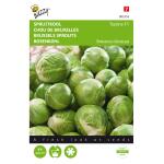 Chou de Bruxelles Topline F1 - Brassica oleracea