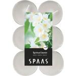 Grandes bougies chauffe-plat - jasmin