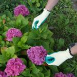 Gants de jardin en taille 10