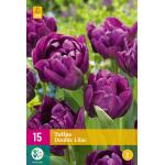 Tulipes doubles Lilac (15 pièces)